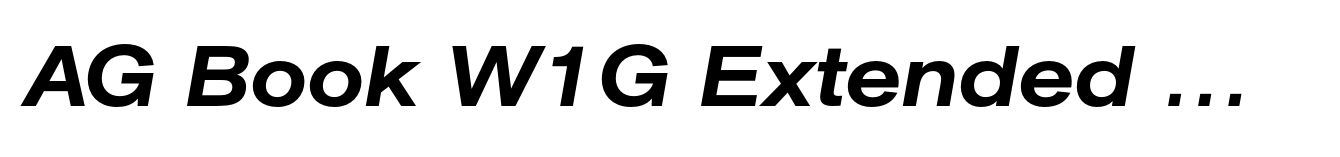 AG Book W1G Extended Medium  Italic